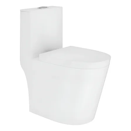 Vaso Sanitário Monobloco - Caixa Acoplada Completo Privada Branco