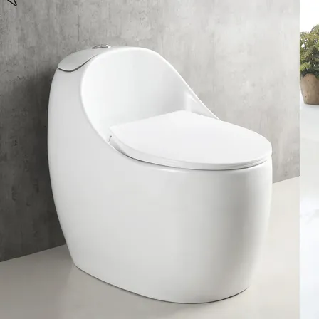 Vaso Sanitário Monobloco Caixa Acoplado Branco Gowff Safira